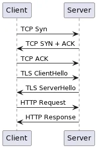 TLS handshake without 0-RTT